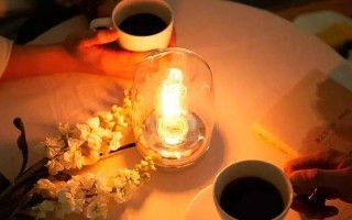 灯火可亲（一个巧妙利用灯光的孩子的故事）