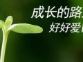 在成长路上坚持不懈（一个普通人的成长故事）