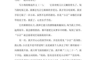 小狗萌宠（小女孩与小狗的故事）