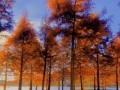 一个少年与内心深处的风景（一个少年与内心深处的风景）
