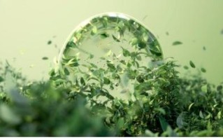 呼吸大自然的气息（与山水共存）