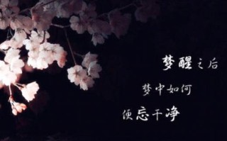 的语言流畅自然、情感真挚。
