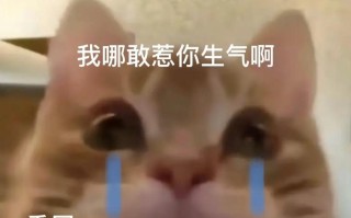 一个生气的人的反思和成长之路（一个生气的人的反思和成长之路）