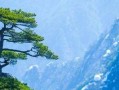 秘密花园（从花园到人生，美丽与智慧的交织）