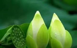 岁月知己：深情交锋的童年友谊