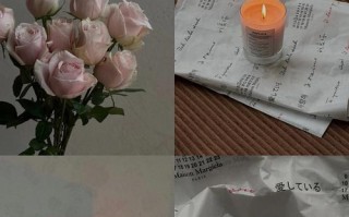 时间无法抚平的伤痕（时间无法抚平的伤痕）