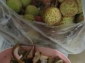 看啊，这个人（一个平凡村民的不平凡人生）