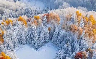 冬日里的温暖（白雪飘扬，真情相伴）