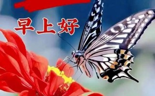 母爱暖流充溢着我——一位母亲的故事（从孕育到陪伴，母亲的爱无处不在）
