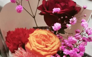 寻找真爱的旅程(寻找真爱的旅程) 寻找真爱的旅程(寻找真爱的旅程)