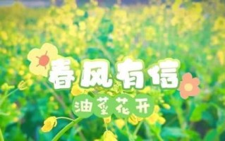 闪耀人生的黄金时刻（闪耀人生的黄金时刻）