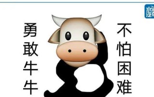 一起迎难而上(团结合作,共同攻克困难) 一起迎难而上(团结合作,共同攻克困难)