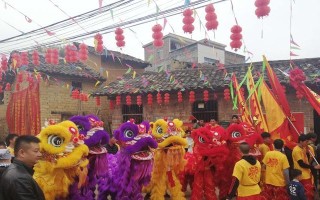 拜年成果（春节的惊喜）
