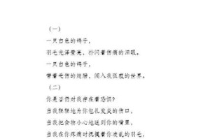 寻找终身伴侣的奇遇（一场缘分，两个人的心灵相通）