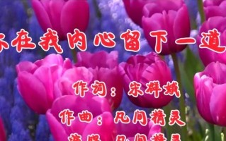 疤痕下的成长（一个女孩在伤口中求生存）