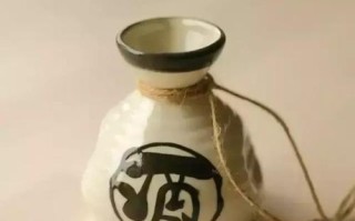 请君为我倾耳听——一个来自荒野的奇妙故事（一个孤独青年的成长之路）