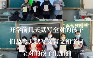 一位老师的教导（从学生到老师，感受传承）