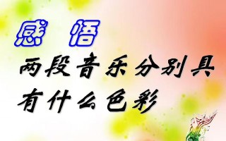 多彩人生：绚烂多姿的人生之路