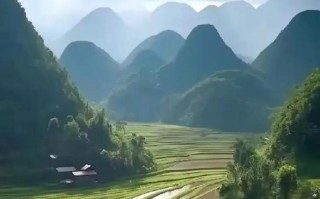 成长的美丽（从稚嫩到成熟，人生的美丽蜕变）
