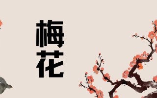 梅花之恋（一朵傲雪凌霜的花，一段平凡却不平凡的爱情）