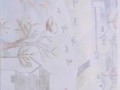 感恩故乡的四季（岁月荏苒，魅力依旧）