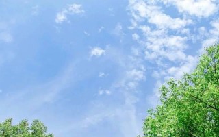 脚踏实地，助力成长（抛开空想，勇往直前）