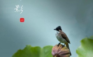 生命的点缀——美丽的源泉(以人物为主,讲述点缀生命的故事) 生命的点缀——美丽的源泉(以人物为主,讲述点缀生命的故事)
