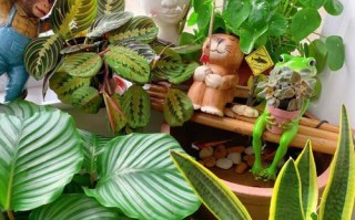 幸福的生活从这里开始（幸福的生活从这里开始）