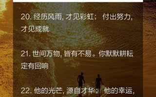 坚持不懈，乘风破浪（一个追梦者的不屈之志）