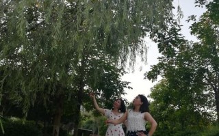 ADayFilledwithLaughter（ExploringtheJoyfulMomentsinLife）