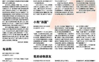与我一路同行的好伙伴（与我一路同行的好伙伴）