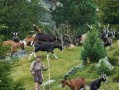 纯真的关爱（小学生的暖心举动）