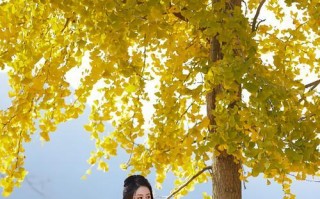 生活的真谛——一个不一样的旅程（探索，领悟，成长）
