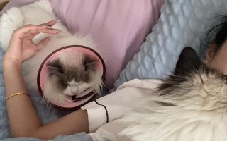 我的青春与你同行——我们的在一起日子