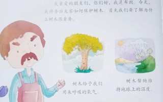 一棵小树的成长历程（一棵小树的成长历程）