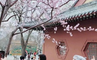 TheBeautyinEveryMoment（AStoryofCapturingLife'sWonders）