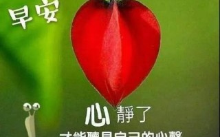 珍惜回忆，让过去变成未来（一段终生难忘的友谊）