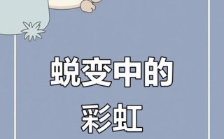 经历风雨见彩虹（人生处处有惊喜）