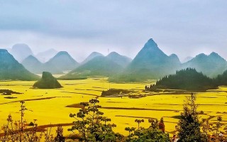 春天的漫步（探寻田野美景）