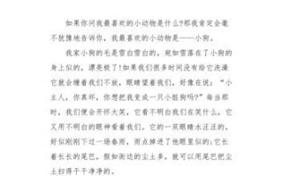 一个小女孩和她最爱的宠物兔子的冒险故事（一个小女孩和她最爱的宠物兔子的冒险故事）
