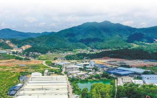 勇敢面对挑战，勇往直前（勇敢面对挑战，勇往直前）