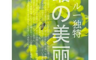 春天的希望（一个人物的奋斗）