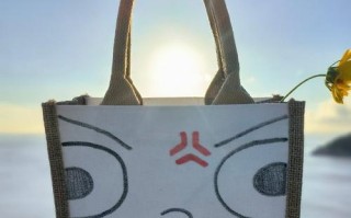 海滨城市的缘分（随机相遇、缘分之约、美好回忆）
