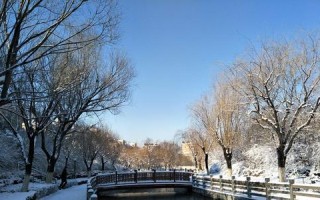 初雪之约（一位小姑娘的冬日奇遇）