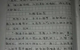 那道阳光和小鸟的歌声（那道阳光和小鸟的歌声）