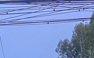 八月圆月下的相遇（相识、相知、相爱）
