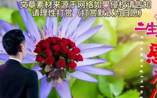 我心中的小秘密：那个不为人知的故事