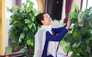 绽放人生精彩（一个女孩的奋斗史）