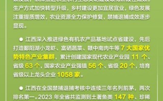 生态之路——一个小镇的环保传奇