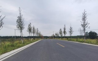 身边的风景（与自然共舞）